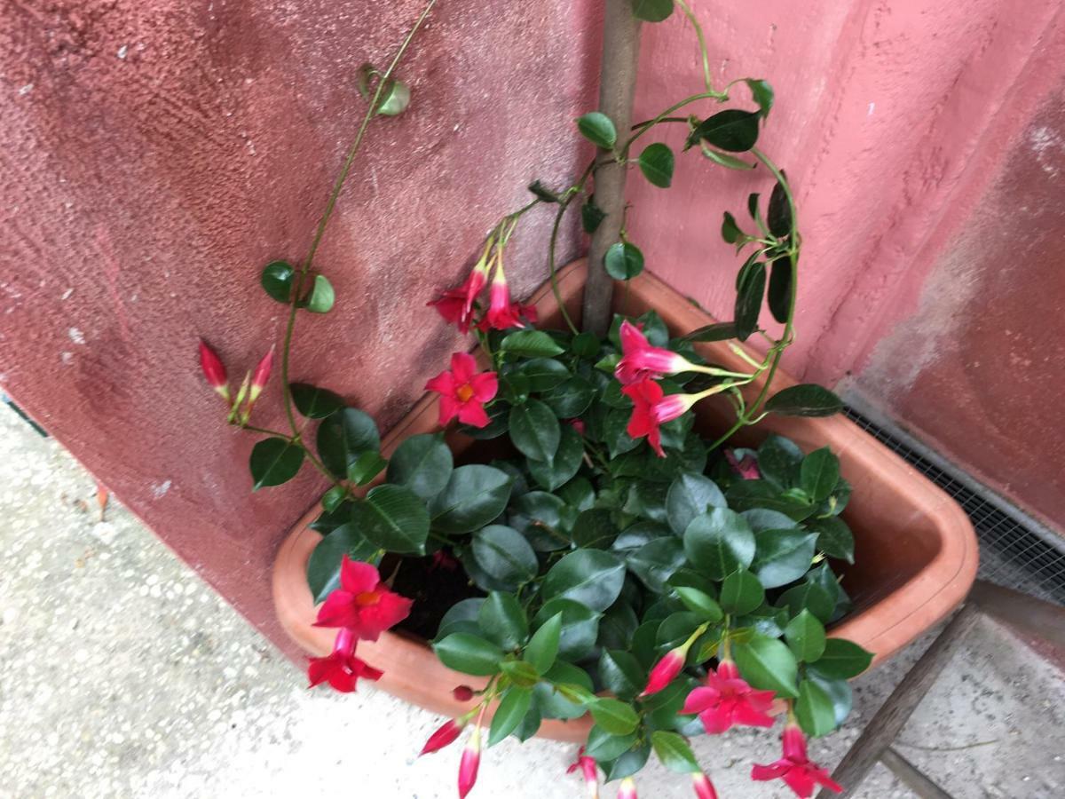 Apartamento Appia Park 10 Min Dal Colosseo *